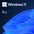 MICROSOFT Win 11 Pro 64Bit English 1pk DSP OEI DVD