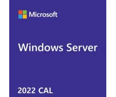 MICROSOFT Windows Server 2022 - 1 User CAL