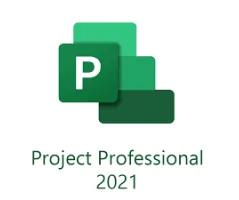 MICROSOFT Project Professional 2021