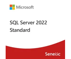 MICROSOFT SQL Server 2022 Standard Edition