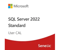 MICROSOFT SQL Server 2022 - 1 User CAL