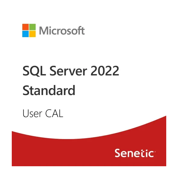 MICROSOFT SQL Server 2022 - 1 User CAL